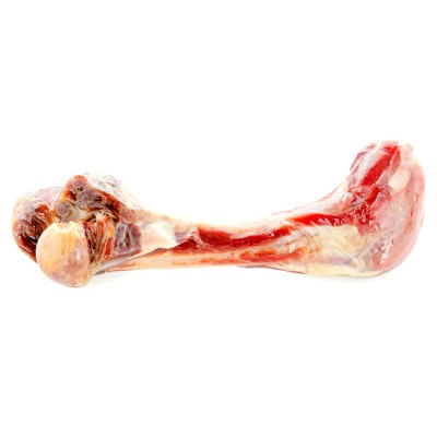 Kość prosciutto nr 1 udowa cała
