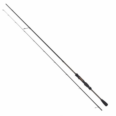 Robinson Wędka River Master Spin 2,52m, 5-21g