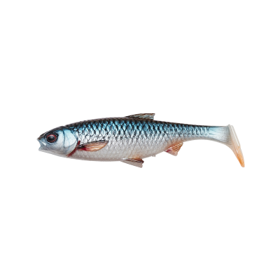 SG 3D River Roach 10cm 10g Roach/1szt.