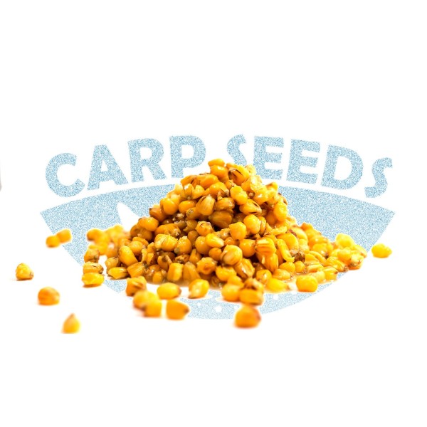 Kukurydza Scopex 2kg CarpSeeds