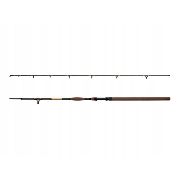 Delphin Wędka SymbolCat Bronze 255cm/500g 2skł.