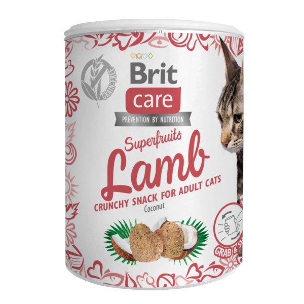 Snack superfruits lamb 100g BRIT CARE