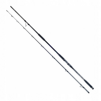 Robinson Siluro Spin Carfish Cast 3,3m/100-350g