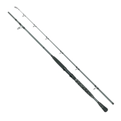 Robinson Siluro Pro Clonk 2,10m/50-200g – wędka na suma