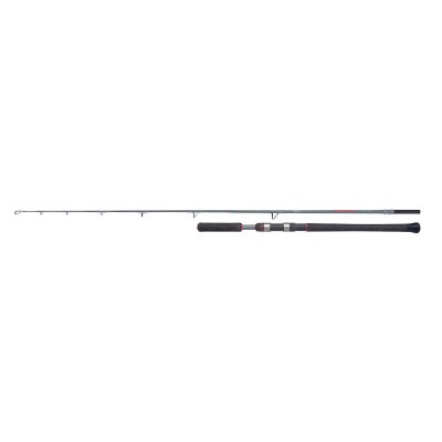Shimano Forcemaster Ax Catfish Vertica 1,85m 200g
