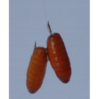 Gamakatsu Haki z Przyp. 1810B r.8/0.18mm/100cm/10 szt.