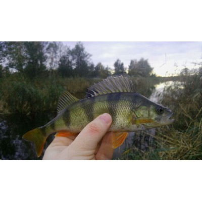 Mepps Aglia Srebrna nr.1/3.5g