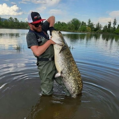 Mikado Krętlik Rolkowy 2/0 Czarny Mat/5szt