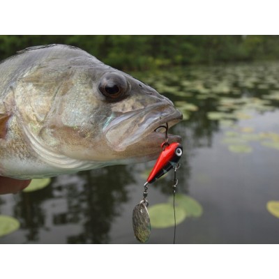 Spinmad Wirujący Ogonek Mag 0704/6g