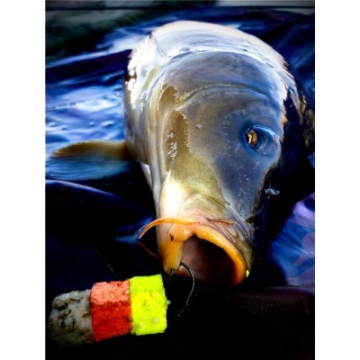 LK Baits CUC Bear Garlic 40g