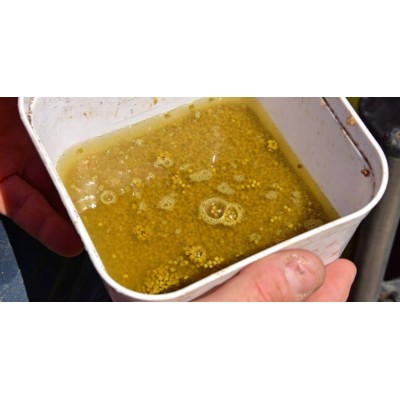 Dynamite Baits Pellet  Swim Stim F1 4mm/900g