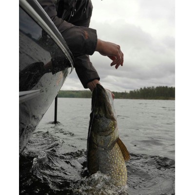 Dragon Ripper Lunatic 8.5cm Pearl/Yellow 3 szt.