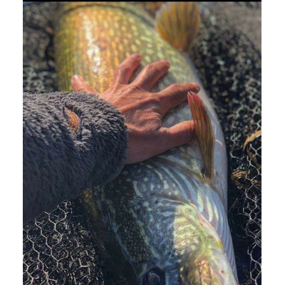 Salmo Wobler Rattlin Sting SP 9cm Sexy Shad