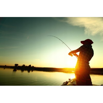 Salmo Wobler Rattlin Sting SP 9cm Sexy Shad