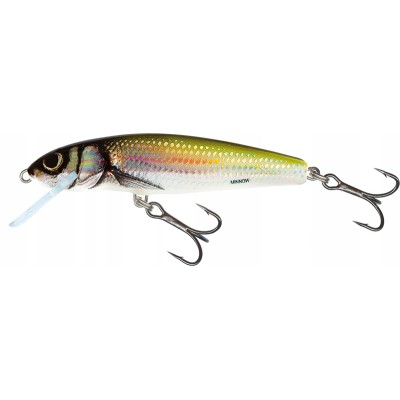 Salmo Wobler Minnow 6cm  Holo Bleak