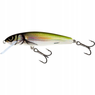 Salmo Wobler Minnow 6cm  Holo Bleak