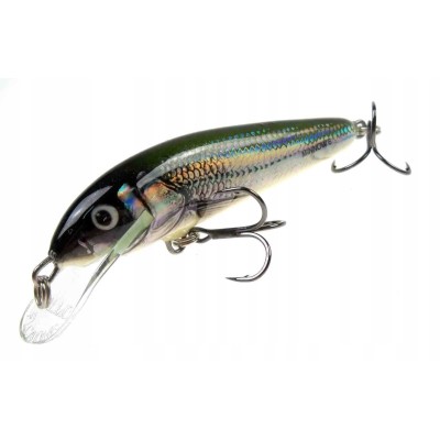 Salmo Wobler Minnow 6cm  Holo Bleak