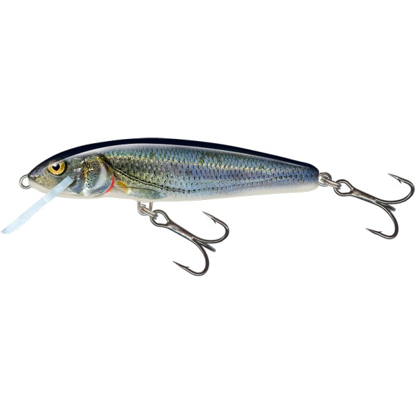Salmo Wobler Minnow 6cm Spirlin