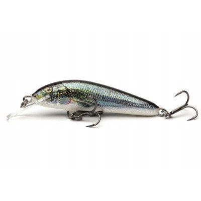Salmo Wobler Minnow 6cm Spirlin