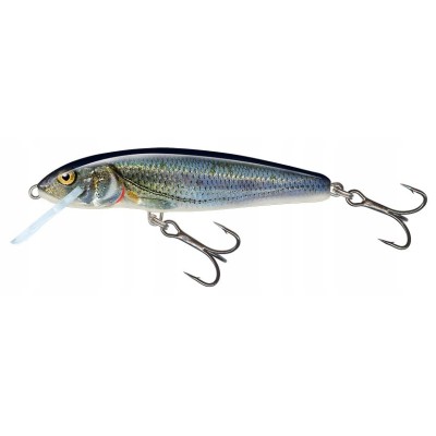 Salmo Wobler Minnow 6cm Spirlin