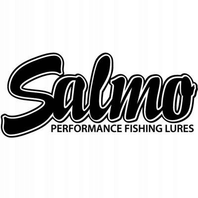 Salmo Wobler M5F Lake Charr 6cm