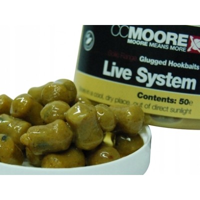 CC Moore Glugged Hookbaits Live System 15x18mm