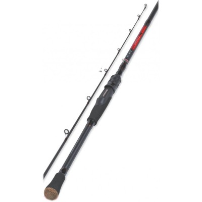 Robinson Wędka Cougar Trout Spin 2,40m, 8-20g