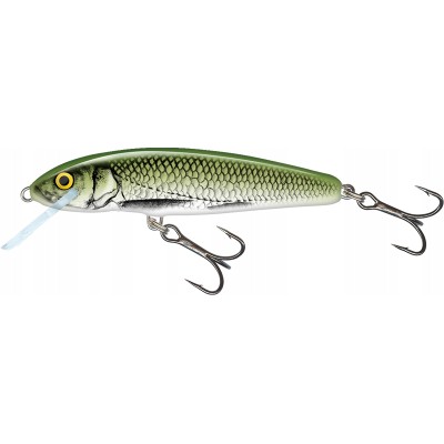 Salmo Wobler Minnow 6cm Olive Bleak