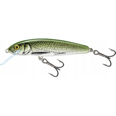 Salmo Wobler Minnow 6cm Olive Bleak