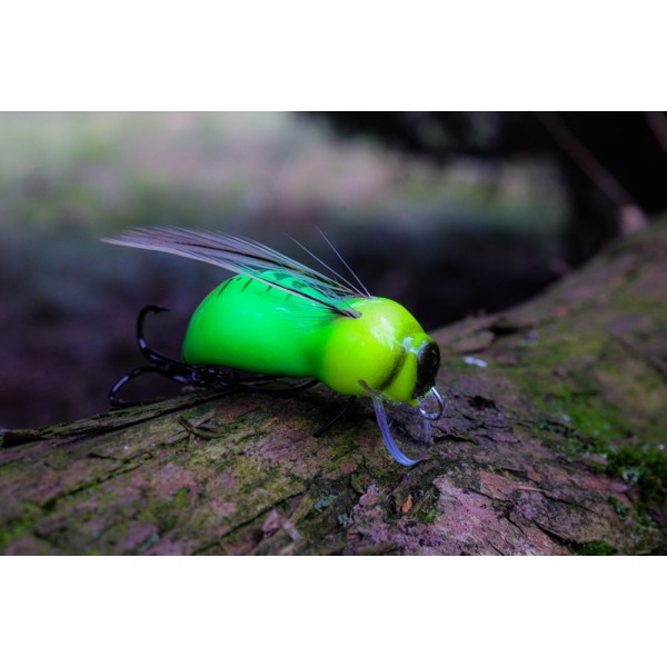 Engima Wobler Osa Limited Edition UV