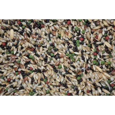 Pokarm dla kanarków premium 800g VERSELELAGA