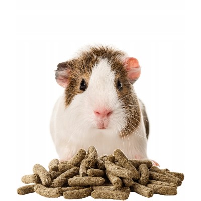 Cavia Complete1,75 kg VERSELELAGA