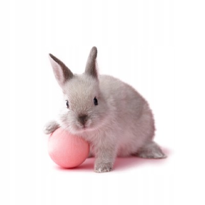 Cuni Complete adult 1,75 kg -królik miniaturowy VERSELELAGA