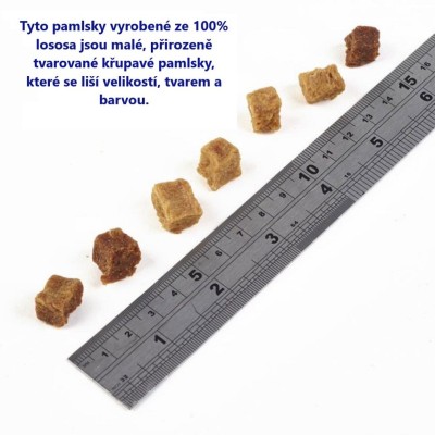 Przysmaczki training puppy salmon bites 80g F4D