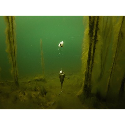 Fox Edges Zig Float Kit