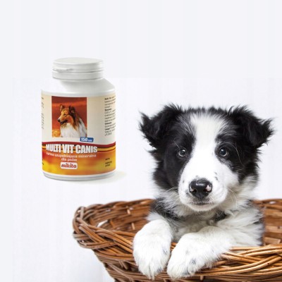 Multivit Canis tabletki witaminy dla psa 150tabl Mikita