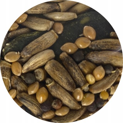 Mieszanka nasion gryzonie 150g HERBAL PETS