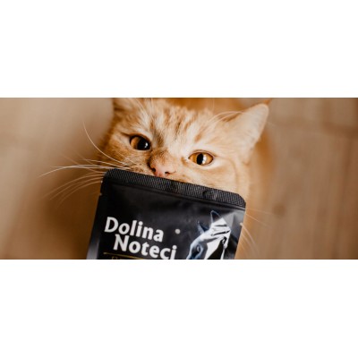 Karma dla kota danie z wołowiną sterylizowany szasz.85g  DOLINA NOTECI