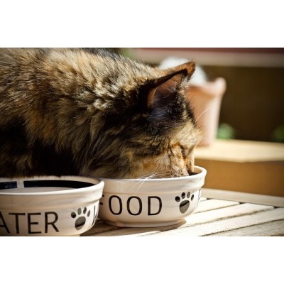 Saszetka dla kota piper ster. z tuńczykiem  100g DOLINA NOTECI