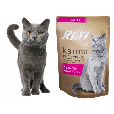 Karma dla kota rafi pasztet ster.z indykiem 100g DOLINA NOTECI
