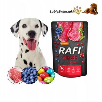 Saszetka dla psa RAFI z wołowiną 300g DOLINA NOTECI