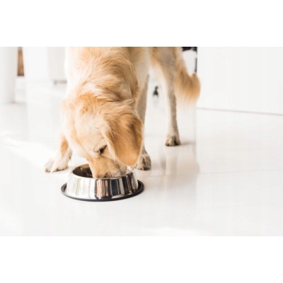 Saszetka dla psa RAFI z wołowiną 300g DOLINA NOTECI