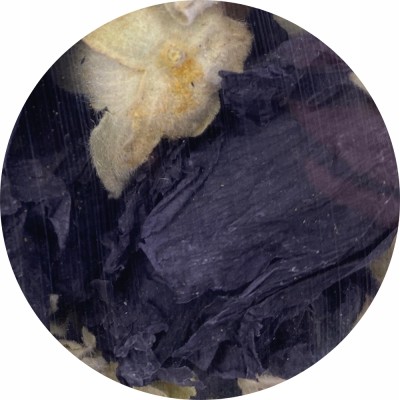 Kwiat czarnej malwy 20g HERBAL PETS