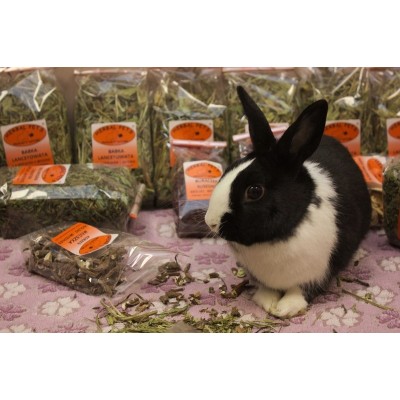 Korzeń mniszka 100g HERBAL PETS