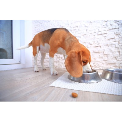 BRIT mono protein Królik  400g