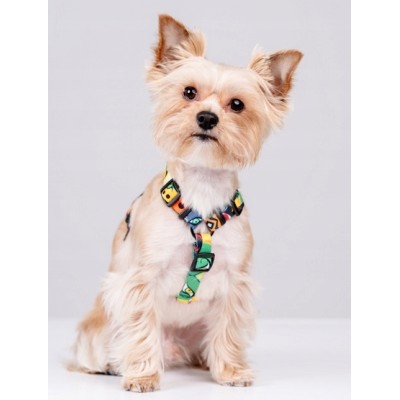 Szelki guard story #XL jumbo CHABA