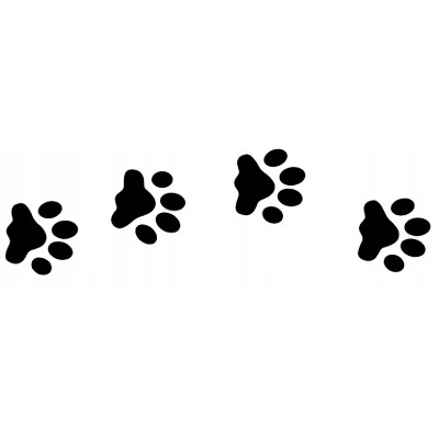 Szelki regulowane classic #XS czarne CHABA