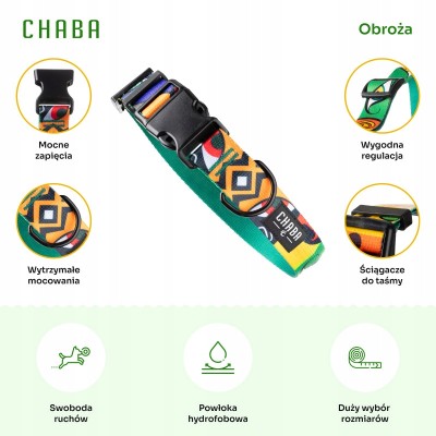 Obroża regulowana story #M jumbo CHABA