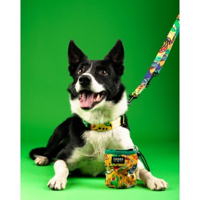 Obroża regulowana story #M jumbo CHABA