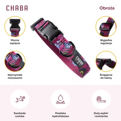 Obroża regulowana story #M lakota CHABA